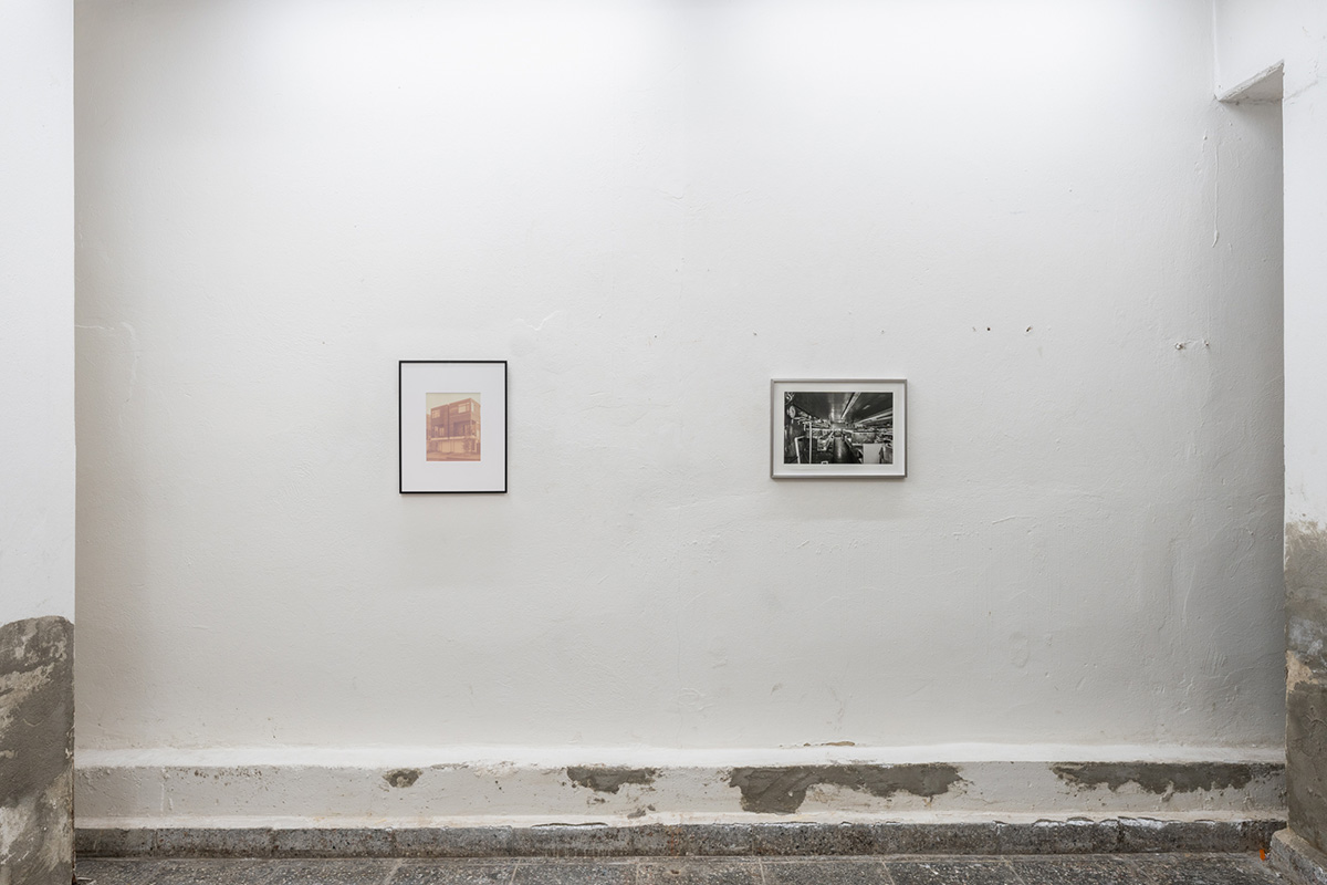 LIfe-in-the-Basement